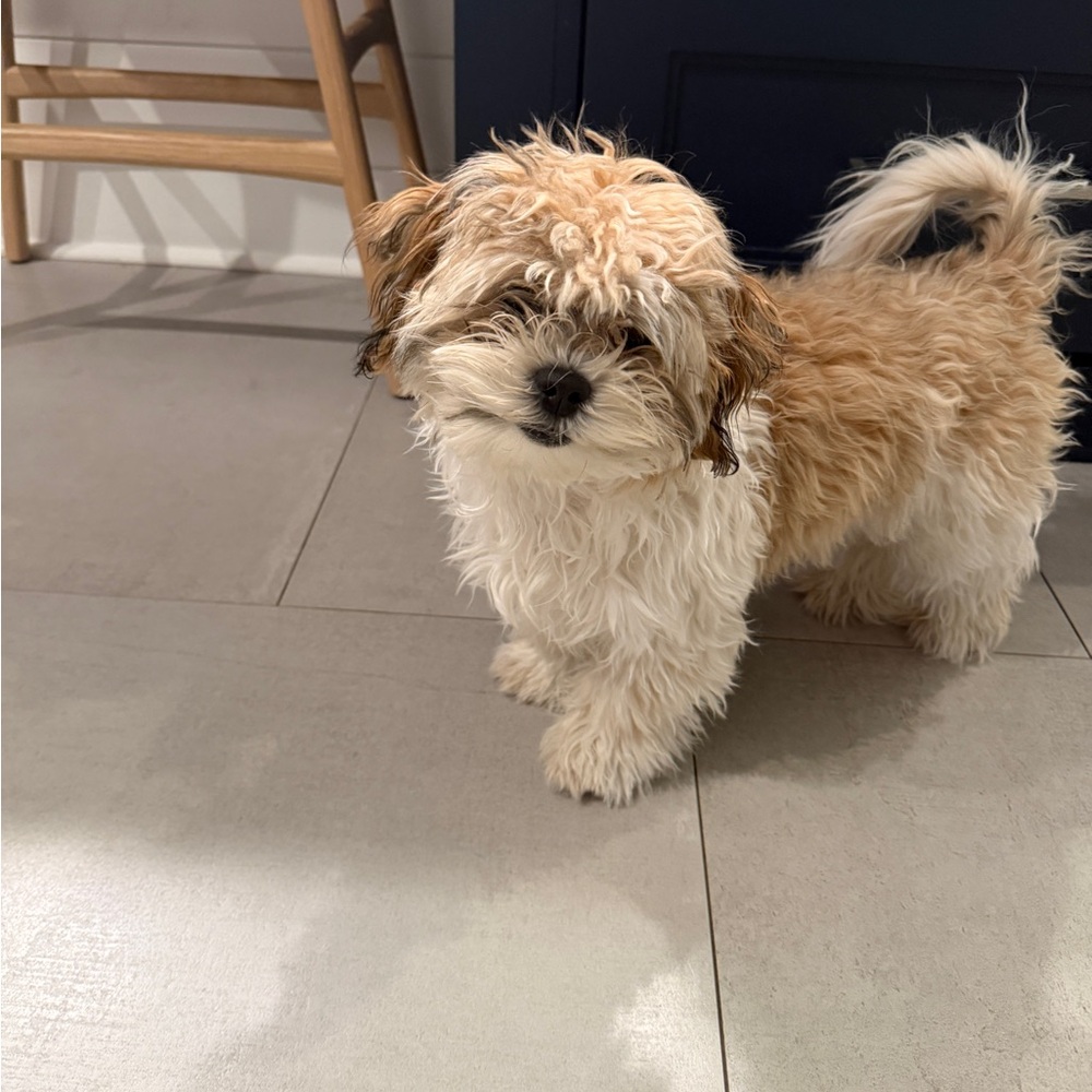 Meet your Posher, Evelyn